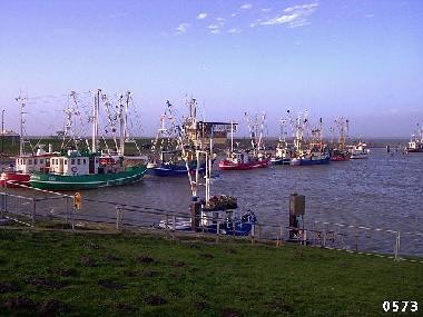 Ferienwohnung in Dornum-Westerbur (Nordsee-Festland / Ostfriesland) oder Ferienwohnung oder Ferienhaus