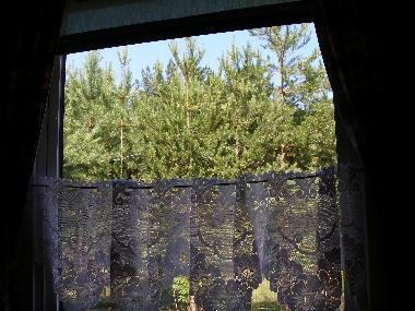 Ferienhaus in Kuru (Ida-Virumaa) oder Ferienwohnung oder Ferienhaus