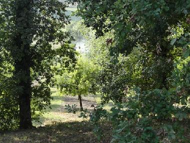 Ferienhaus in Pomport (Dordogne) oder Ferienwohnung oder Ferienhaus