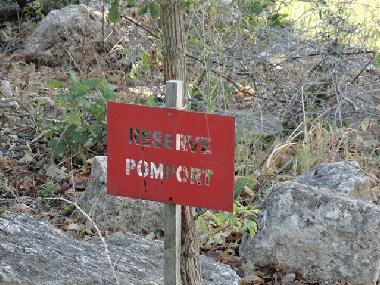 Ferienhaus in Pomport (Dordogne) oder Ferienwohnung oder Ferienhaus