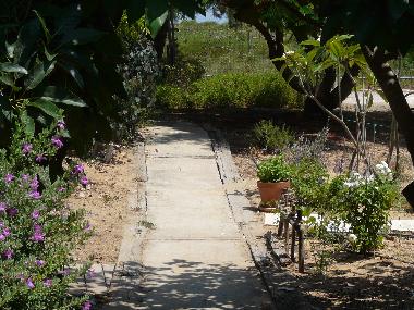 Ferienhaus in Mikhmoret (HaMerkaz (Central)) oder Ferienwohnung oder Ferienhaus