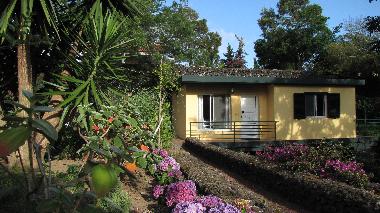 Ferienhaus in Livramento (Azoren) oder Ferienwohnung oder Ferienhaus