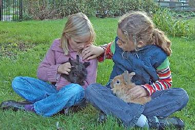Kinder und Kaninchen