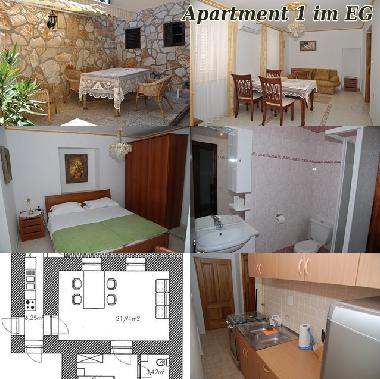 Ferienwohnung in Savudrija (Istarska) oder Ferienwohnung oder Ferienhaus