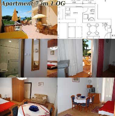 Ferienwohnung in Savudrija (Istarska) oder Ferienwohnung oder Ferienhaus