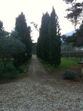 Ferienhaus in lucca (Lucca) oder Ferienwohnung oder Ferienhaus