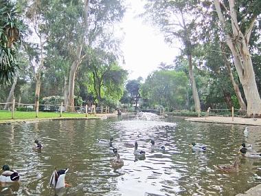 Ferienwohnung in Cascais (Grande Lisboa) oder Ferienwohnung oder Ferienhaus