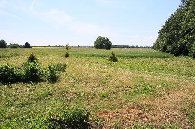 Ferienhaus in Ravila (Harjumaa) oder Ferienwohnung oder Ferienhaus