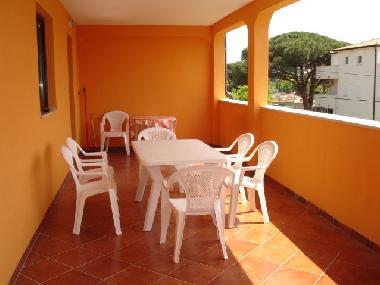 Pension in Novigrad (Istarska) oder Ferienwohnung oder Ferienhaus