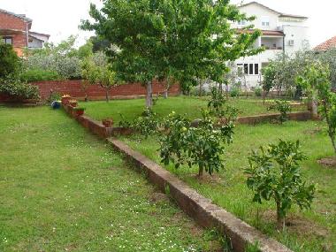 Pension in Novigrad (Istarska) oder Ferienwohnung oder Ferienhaus