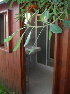 Ferienwohnung in Tirrenia (Pisa) oder Ferienwohnung oder Ferienhaus