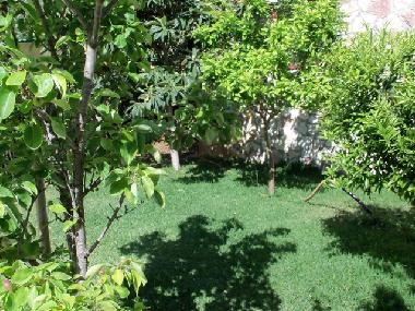 Villa in Altavilla Milicia (Palermo) oder Ferienwohnung oder Ferienhaus