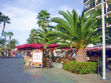 F��g�ngerzone Puerto de la Cruz 