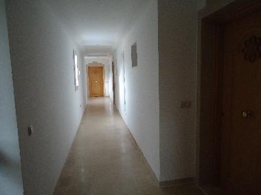Ferienwohnung in Yasmine Hammamet (Nabul) oder Ferienwohnung oder Ferienhaus