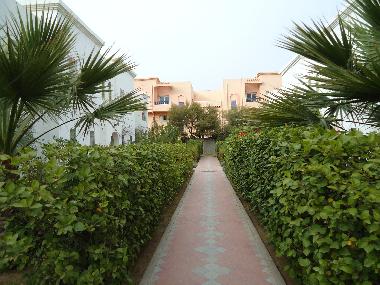 Ferienwohnung in Yasmine Hammamet (Nabul) oder Ferienwohnung oder Ferienhaus