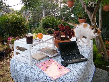 Pension in haifa (Hefa (Haifa)) oder Ferienwohnung oder Ferienhaus