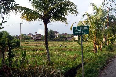 Jalan Bisma, hier finden Sie MARI GUESTHOUSE