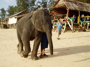 Villa in Cherng Talay (Phuket) oder Ferienwohnung oder Ferienhaus