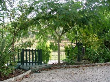 Ferienhaus in Cabeceiras de Basto (Norte) oder Ferienwohnung oder Ferienhaus
