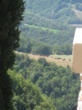 Schloss / Burg in Pievebovigliana (Macerata) oder Ferienwohnung oder Ferienhaus