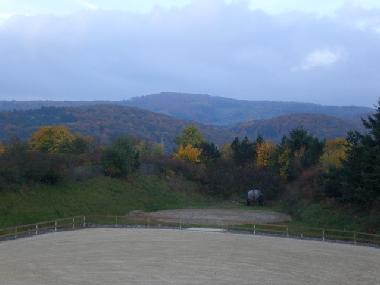 Ausblick vom Reitplatz