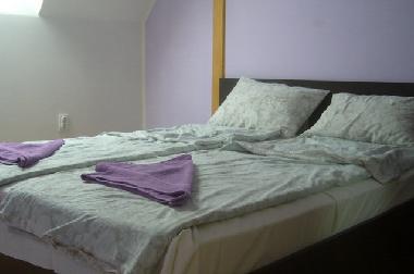 Ferienwohnung in Belgrade (Zentral Serbien) oder Ferienwohnung oder Ferienhaus