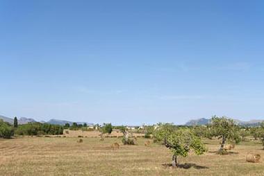 Ferienhaus in alcudia (Mallorca) oder Ferienwohnung oder Ferienhaus