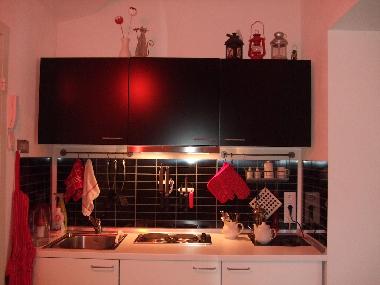 Ferienwohnung in St.Petersburg (Sankt-Peterburg) oder Ferienwohnung oder Ferienhaus