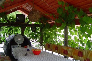 Ferienwohnung in Gyenesdi�s (Zala) oder Ferienwohnung oder Ferienhaus