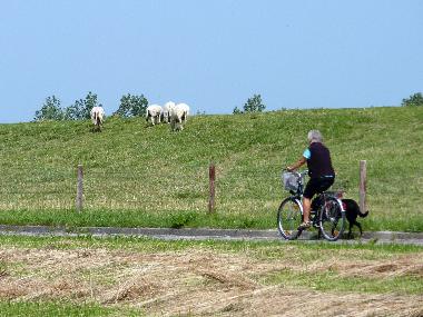 Nicht nur im Sommer ist Hooksiel der ideale Ausgangspunkt f�r ausgedehnte Fahrradtouren am Deich ent