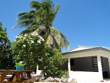 Ferienhaus in Grote Berg (Curacao) oder Ferienwohnung oder Ferienhaus
