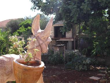 Pension in Vela Luka (Dubrovacko-Neretvanska) oder Ferienwohnung oder Ferienhaus