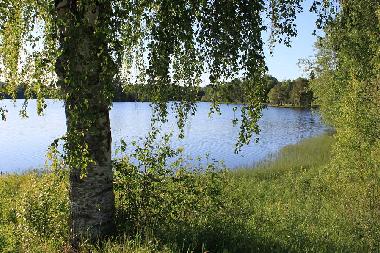 Ferienhaus in Torsby (V�rmland) oder Ferienwohnung oder Ferienhaus