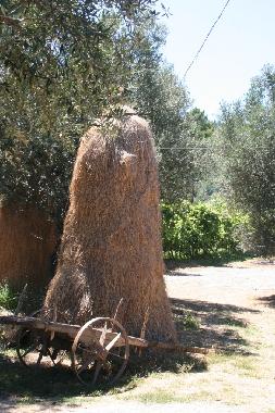 Ferienhaus in Cabeceiras de Basto (Norte) oder Ferienwohnung oder Ferienhaus