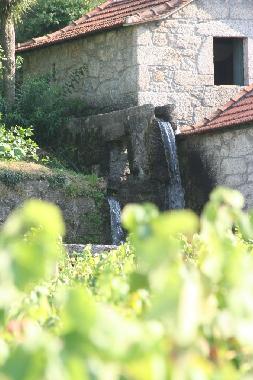 Ferienhaus in Cabeceiras de Basto (Norte) oder Ferienwohnung oder Ferienhaus