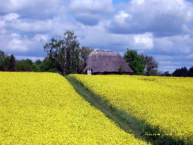 Boot in Dahmen (Mecklenburgische Seenplatte) oder Ferienwohnung oder Ferienhaus