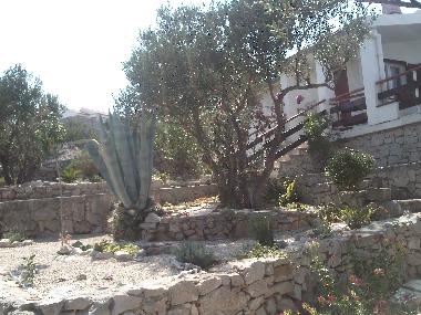 Ferienhaus in Kaprije (Sibensko-Kninska) oder Ferienwohnung oder Ferienhaus