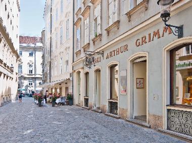 Ferienwohnung in Wien (Wien) oder Ferienwohnung oder Ferienhaus
