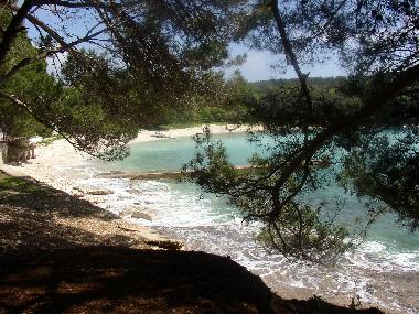 Ferienwohnung in Vinkuran (Istarska) oder Ferienwohnung oder Ferienhaus