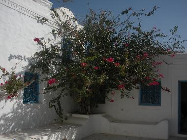 Pension in Houmt Souk DJERBA (Madanin) oder Ferienwohnung oder Ferienhaus