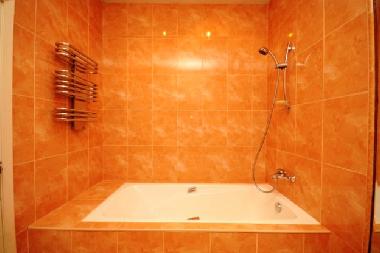 Ferienwohnung in St. Petersburg (Sankt-Peterburg) oder Ferienwohnung oder Ferienhaus