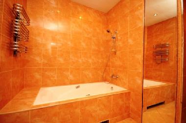 Ferienwohnung in St. Petersburg (Sankt-Peterburg) oder Ferienwohnung oder Ferienhaus