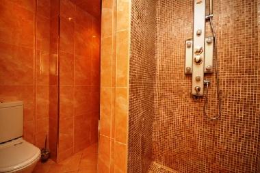 Ferienwohnung in St. Petersburg (Sankt-Peterburg) oder Ferienwohnung oder Ferienhaus