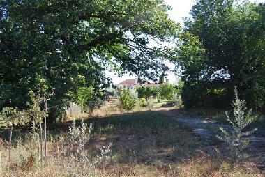 Villa in Mas de dona Maria (Pinhal Litoral) oder Ferienwohnung oder Ferienhaus