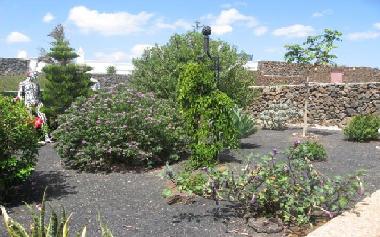 Ferienwohnung in Puerto Calero / Macher (Lanzarote) oder Ferienwohnung oder Ferienhaus