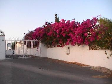 Einfahrt Finca Anita