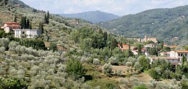 Villa in Pescia (Pistoia) oder Ferienwohnung oder Ferienhaus