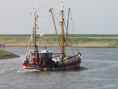 Krabbenkutter