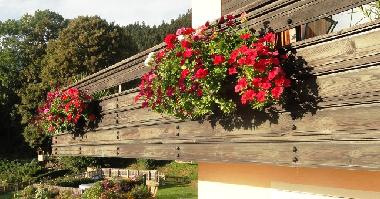 Ferienwohnung in Millstatt (Oberk�rnten) oder Ferienwohnung oder Ferienhaus