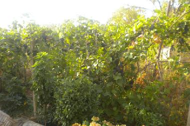 Ferienhaus in Ksamil (Sarande) oder Ferienwohnung oder Ferienhaus